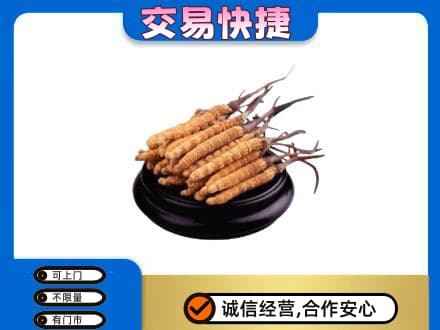 如皋市回收冬虫夏草多少钱每克